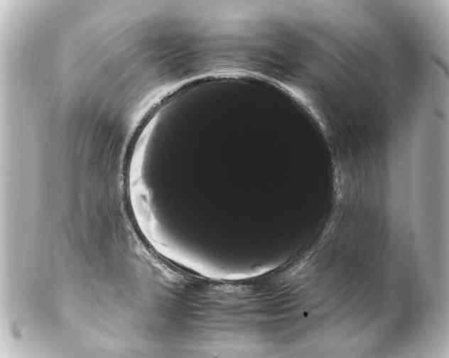 X0000100221327200806271718