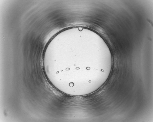 X0000100221328200806271718