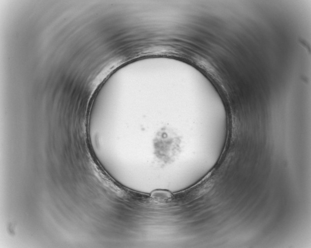 X0000100221330200806271718