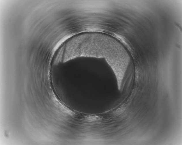 X0000100221331200806271718