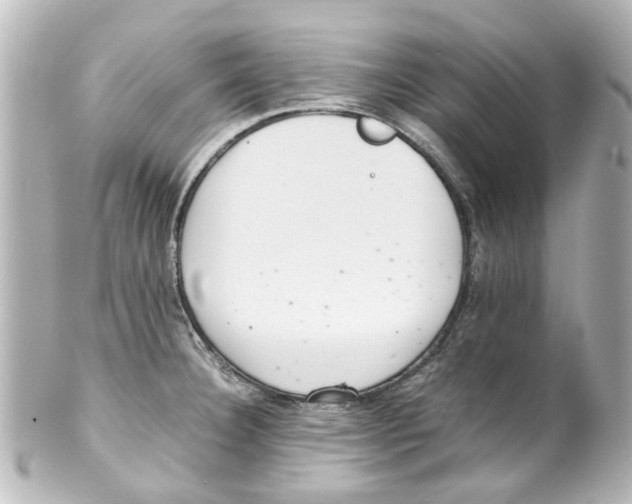 X0000100221332200806271718