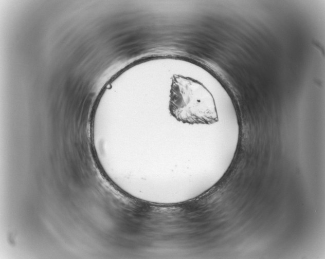 X0000100221335200806271718