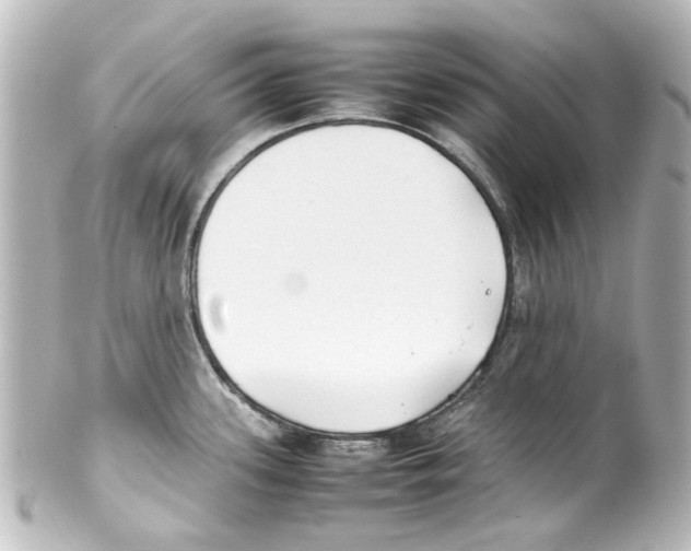 X0000100221339200806271718