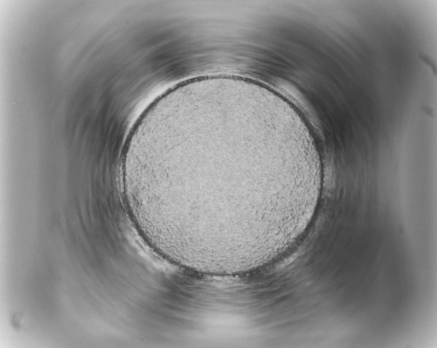 X0000100221340200806271718