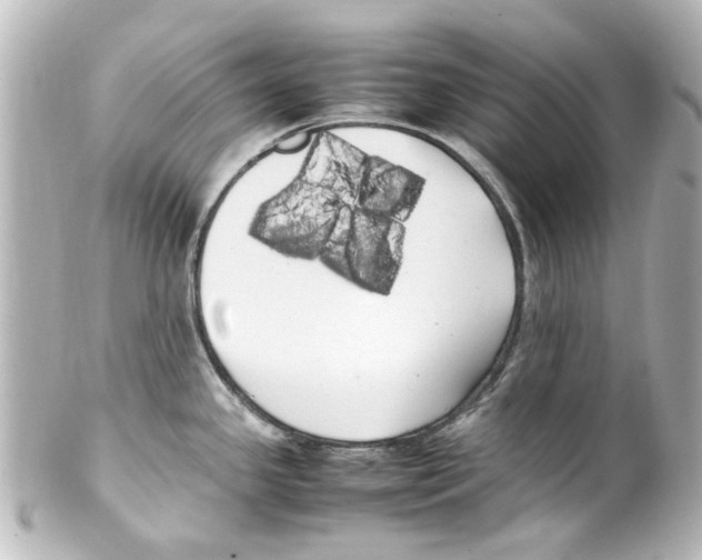 X0000100221341200806271718