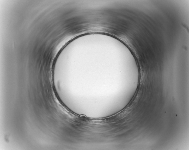 X0000100221342200806271718