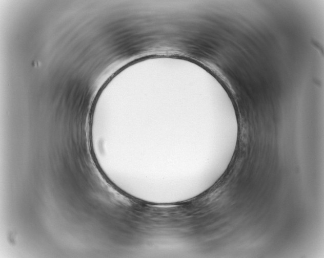 X0000100221343200806271718