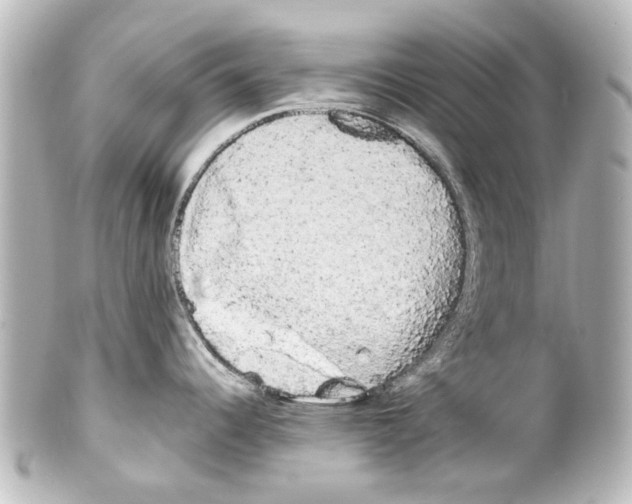 X0000100221344200806271718