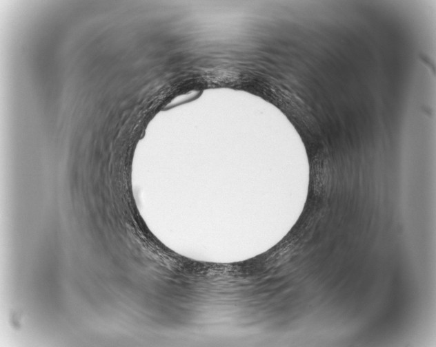 X0000100221345200806271718