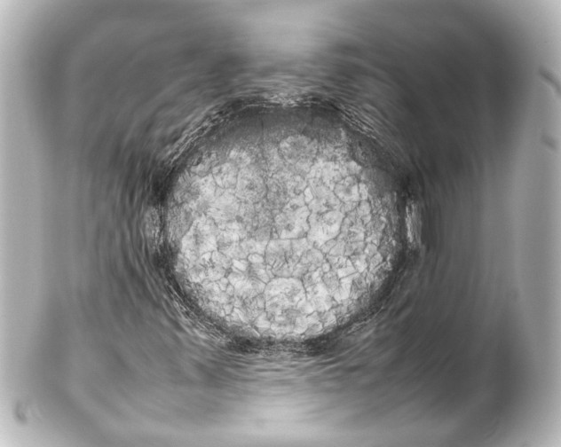 X0000100221347200806271718