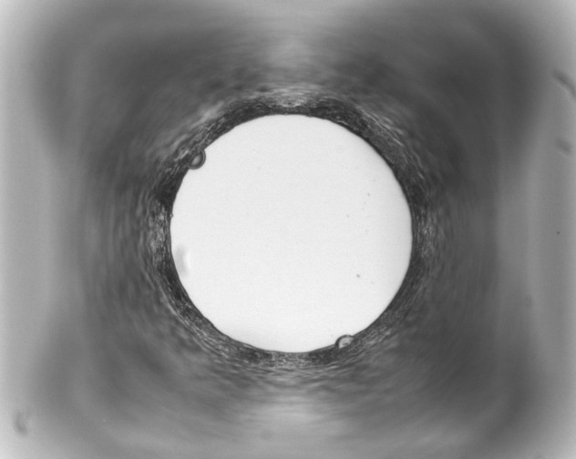 X0000100221349200806271717