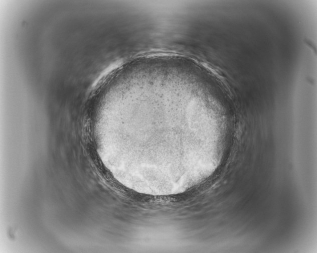 X0000100221351200806271717