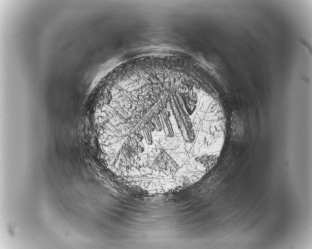 X0000100221352200806271717