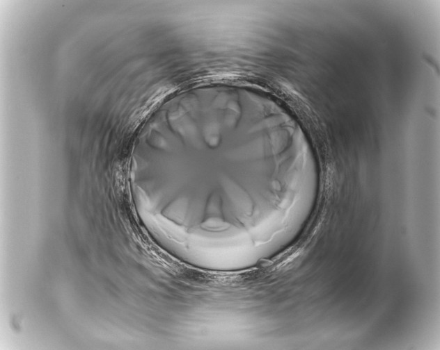 X0000100221353200806271717