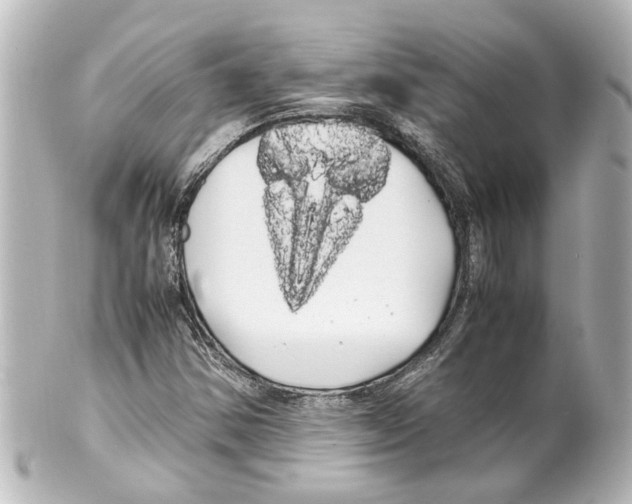 X0000100221354200806271717