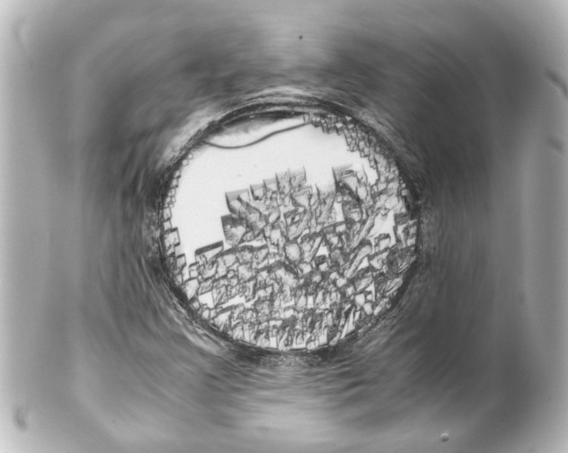 X0000100221355200806271717