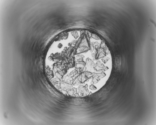 X0000100221356200806271717