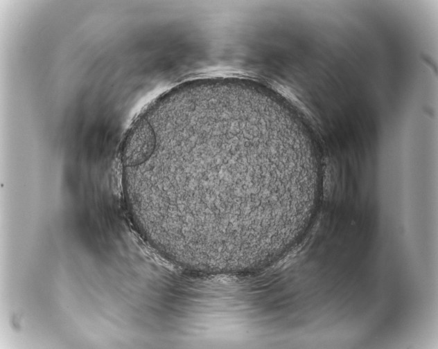 X0000100221358200806271717