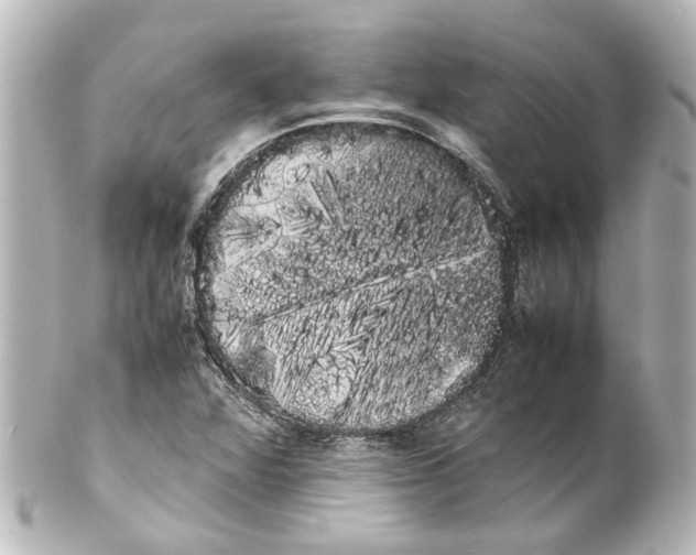 X0000100221360200806271717