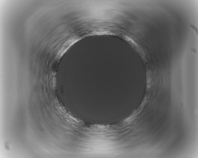 X0000100221361200806271717