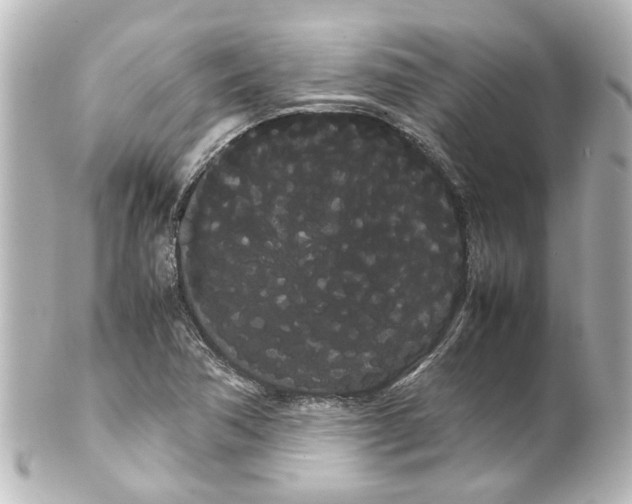 X0000100221362200806271717