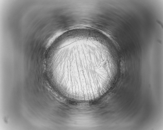 X0000100221363200806271717