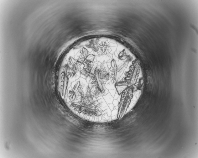 X0000100221364200806271717