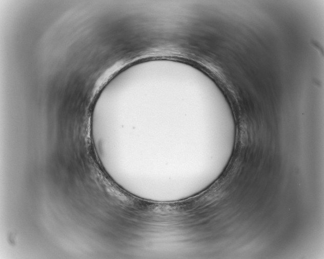 X0000100221366200806271717