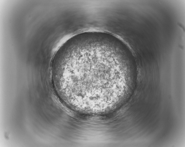 X0000100221367200806271717