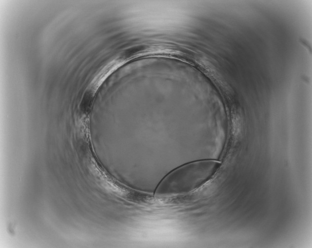 X0000100221369200806271717