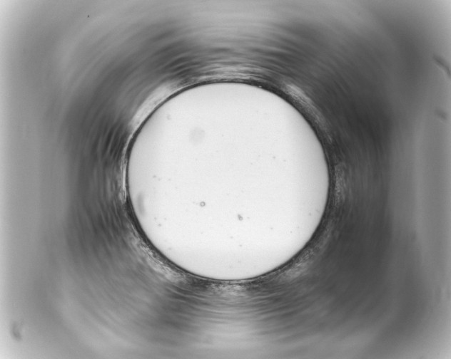 X0000100221370200806271717