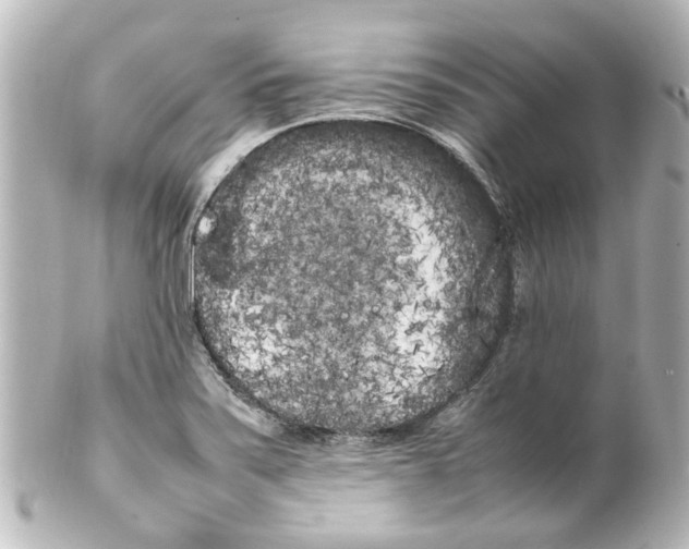 X0000100221371200806271717