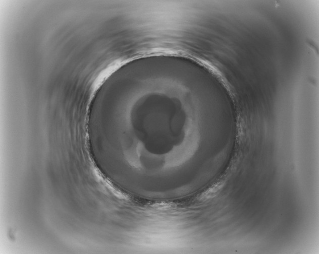 X0000100221373200806271717