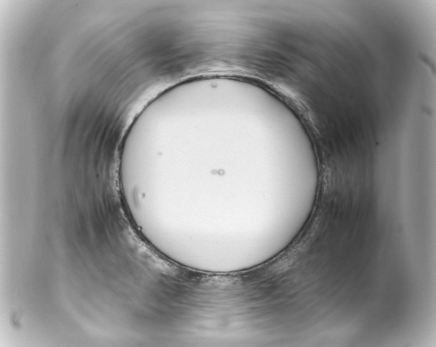 X0000100221374200806271717