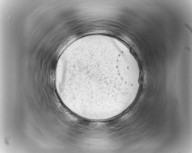 X0000100221377200806271717