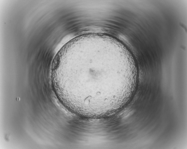 X0000100221378200806271717