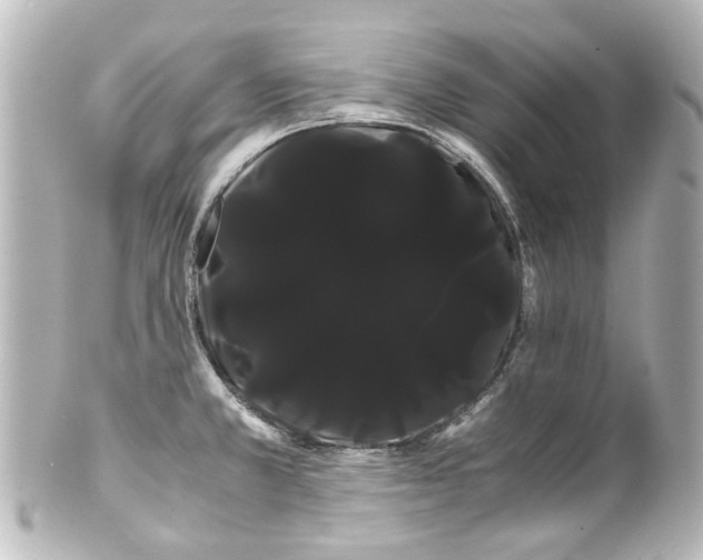 X0000100221381200806271717