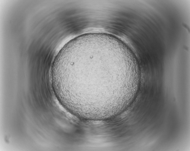 X0000100221382200806271717