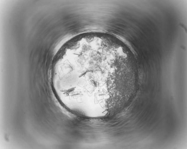 X0000100221383200806271717