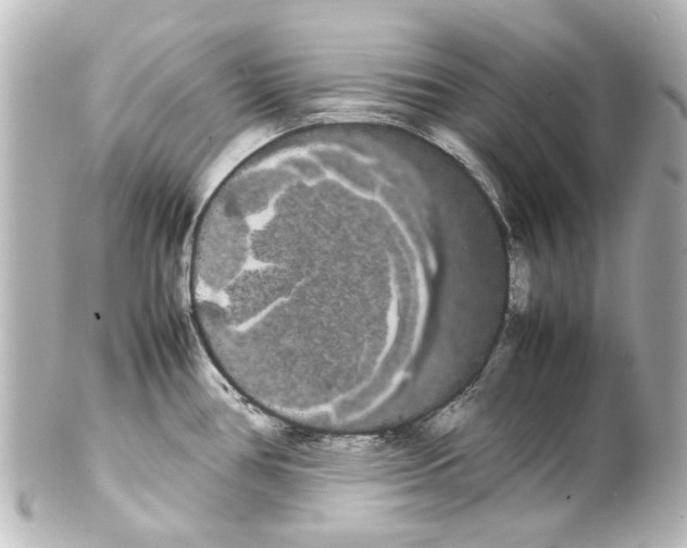 X0000100221386200806271717