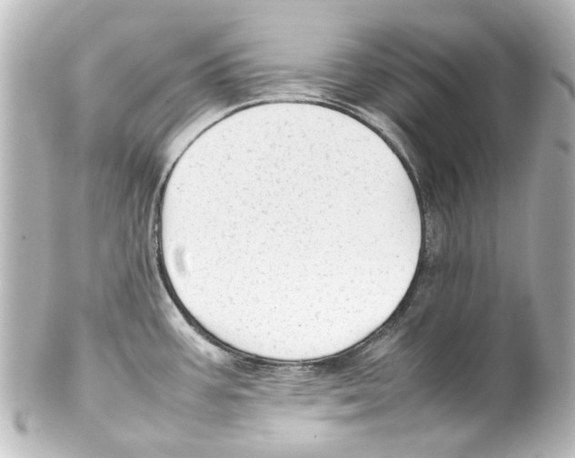 X0000100221387200806271717