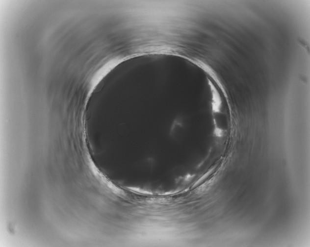 X0000100221389200806271717