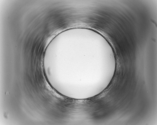 X0000100221390200806271717