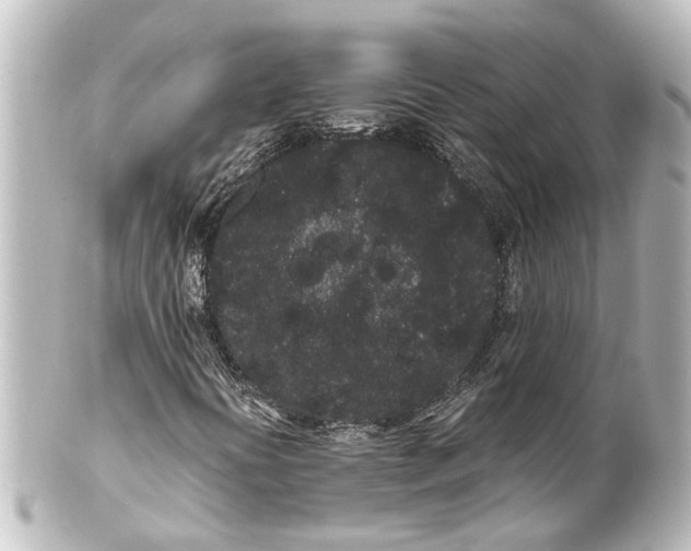 X0000100221394200806271716