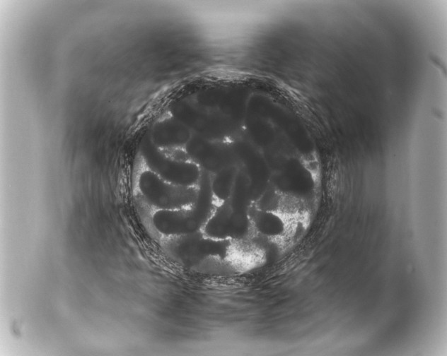 X0000100221397200806271716