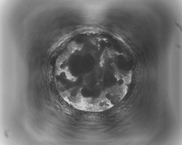 X0000100221399200806271716