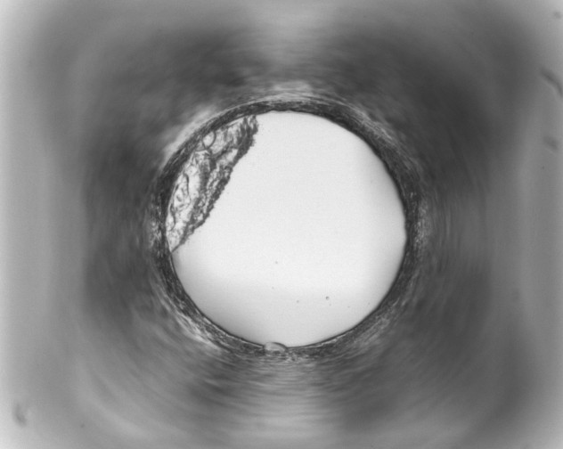 X0000100221400200806271716