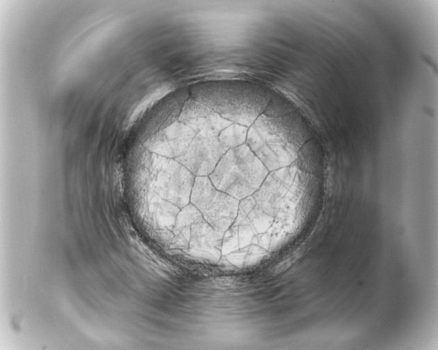 X0000100221402200806271716