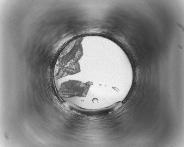 X0000100221404200806271716