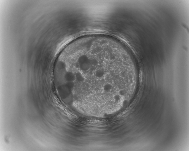 X0000100221405200806271716